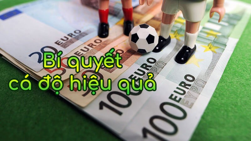 XO88 Cần bao nhiêu vốn để cá cược bóng đá hiệu quả, dễ chiến thắng