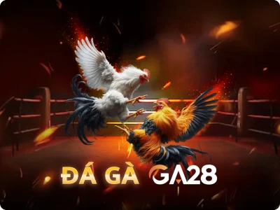 XO88  Đá Gà Livestream